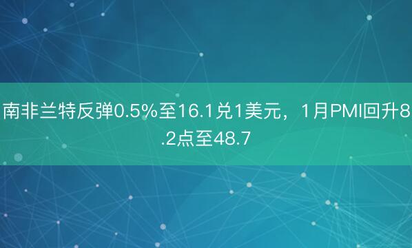 南非兰特反弹0.5%至16.1兑1美元，1月PMI回升8.2点至48.7