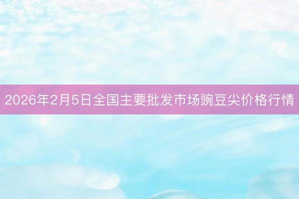 2026年2月5日全国主要批发市场豌豆尖价格行情