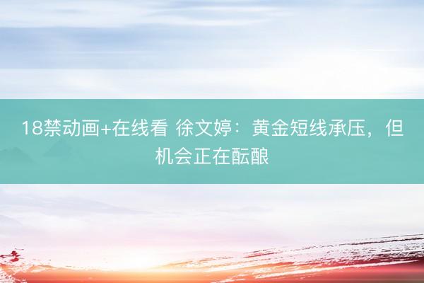 18禁动画+在线看 徐文婷：黄金短线承压，但机会正在酝酿