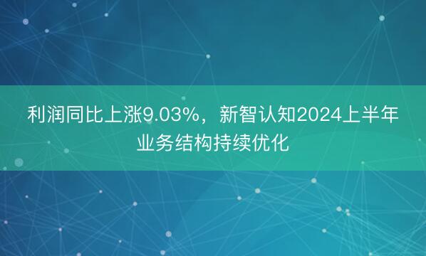 利润同比上涨9.03%，新智认知2024上半年业务结构持续优化