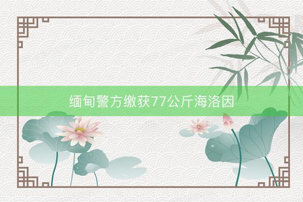 缅甸警方缴获77公斤海洛因