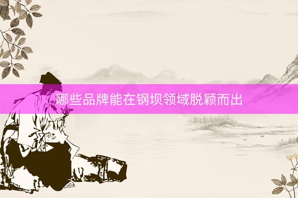 哪些品牌能在钢坝领域脱颖而出