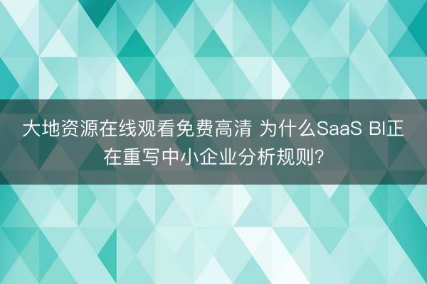 大地资源在线观看免费高清 为什么SaaS BI正在重写中小企业分析规则？