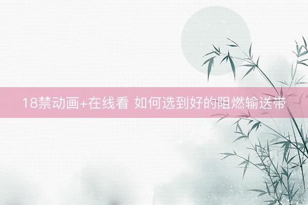 18禁动画+在线看 如何选到好的阻燃输送带