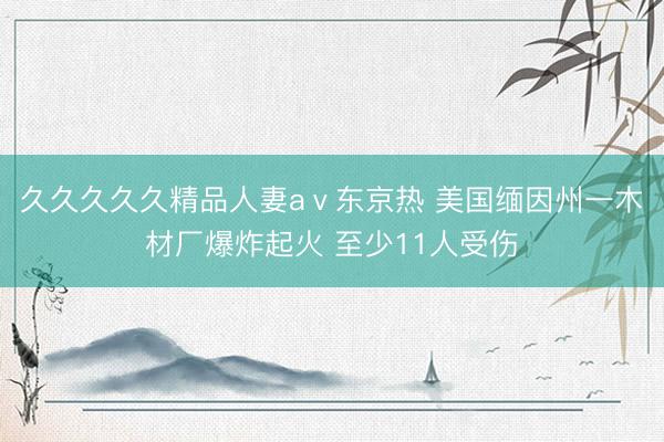 久久久久久精品人妻aⅴ东京热 美国缅因州一木材厂爆炸起火 至少11人受伤