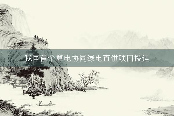 我国首个算电协同绿电直供项目投运