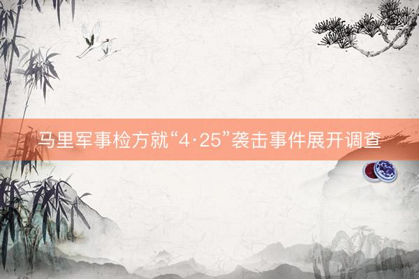 马里军事检方就“4·25”袭击事件展开调查