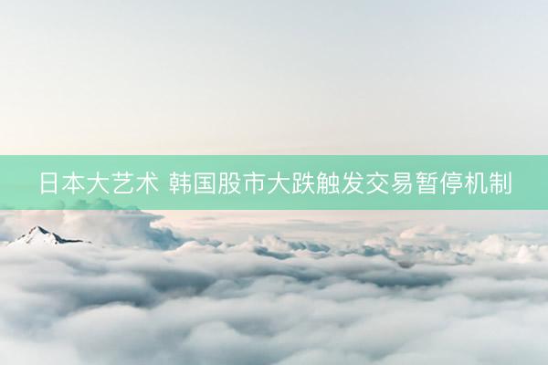 日本大艺术 韩国股市大跌触发交易暂停机制