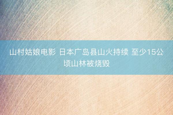 山村姑娘电影 日本广岛县山火持续 至少15公顷山林被烧毁