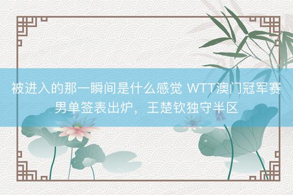 被进入的那一瞬间是什么感觉 WTT澳门冠军赛男单签表出炉，王楚钦独守半区