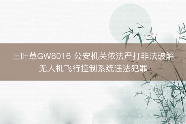 三叶草GW8016 公安机关依法严打非法破解无人机飞行控制系统违法犯罪