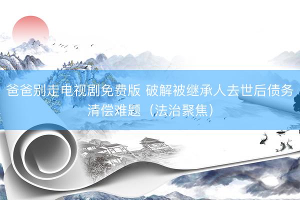 爸爸别走电视剧免费版 破解被继承人去世后债务清偿难题（法治聚焦）