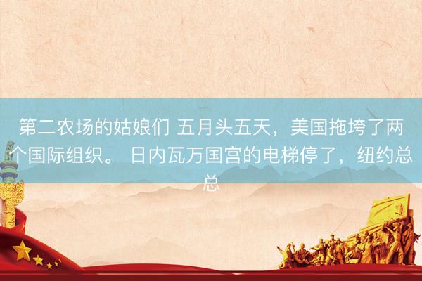 第二农场的姑娘们 五月头五天，美国拖垮了两个国际组织。 日内瓦万国宫的电梯停了，纽约总