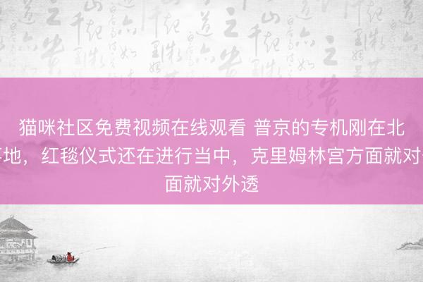猫咪社区免费视频在线观看 普京的专机刚在北京落地,红毯仪式还在进行当中,克里姆林宫方面就对外透