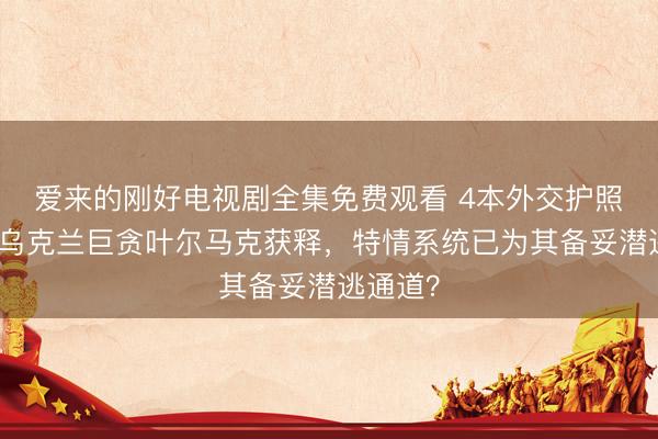 爱来的刚好电视剧全集免费观看 4本外交护照在手，乌克兰巨贪叶尔马克获释，特情系统已为其备妥潜逃通道？