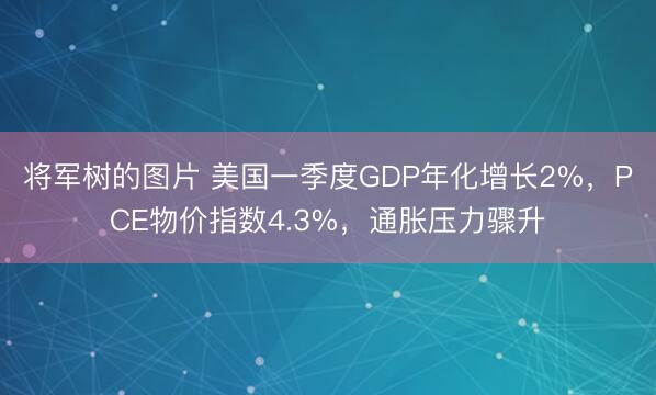 将军树的图片 美国一季度GDP年化增长2%，PCE物价指数4.3%，通胀压力骤升