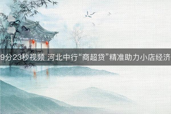 9分23秒视频 河北中行“商超贷”精准助力小店经济