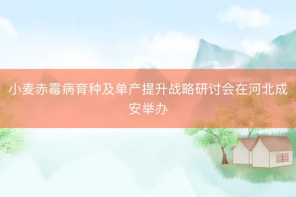 小麦赤霉病育种及单产提升战略研讨会在河北成安举办