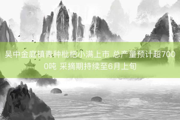吴中金庭镇青种枇杷小满上市 总产量预计超7000吨 采摘期持续至6月上旬