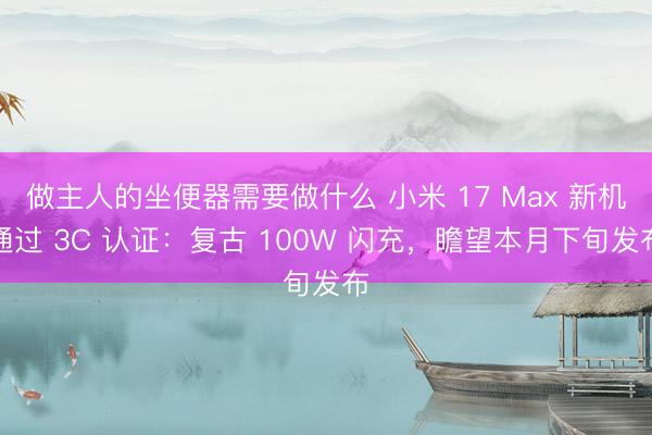 做主人的坐便器需要做什么 小米 17 Max 新机通过 3C 认证：复古 100W 闪充，瞻望本月下旬发布