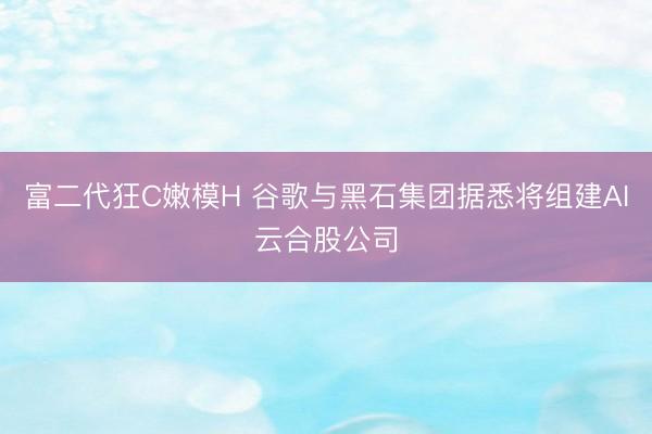富二代狂C嫩模H 谷歌与黑石集团据悉将组建AI云合股公司
