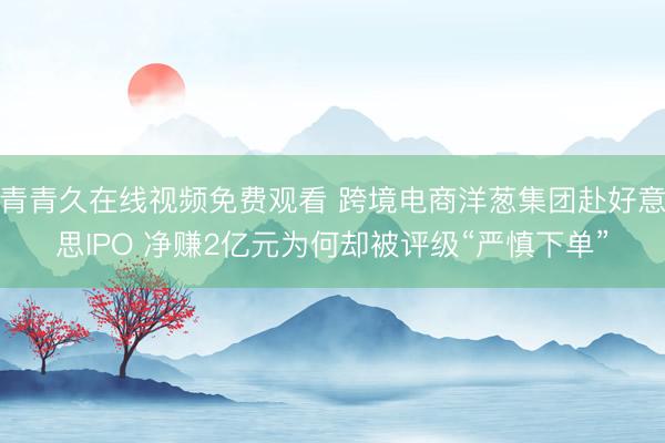 青青久在线视频免费观看 跨境电商洋葱集团赴好意思IPO 净赚2亿元为何却被评级“严慎下单”