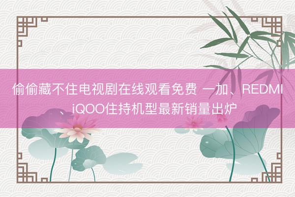偷偷藏不住电视剧在线观看免费 一加、REDMI、iQOO住持机型最新销量出炉