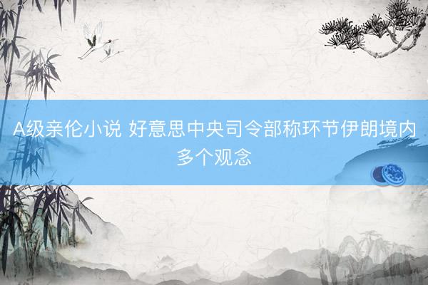 A级亲伦小说 好意思中央司令部称环节伊朗境内多个观念