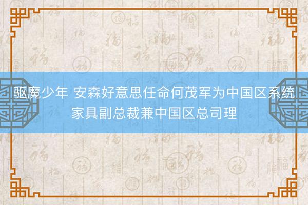 驱魔少年 安森好意思任命何茂军为中国区系统家具副总裁兼中国区总司理